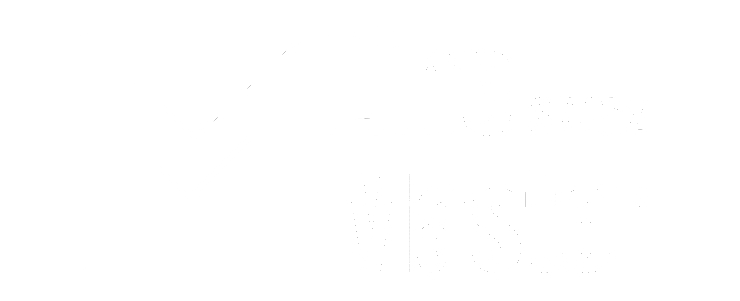 LineMaster 2.4GHz